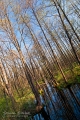 030_Biebrza - kwiecien 2012